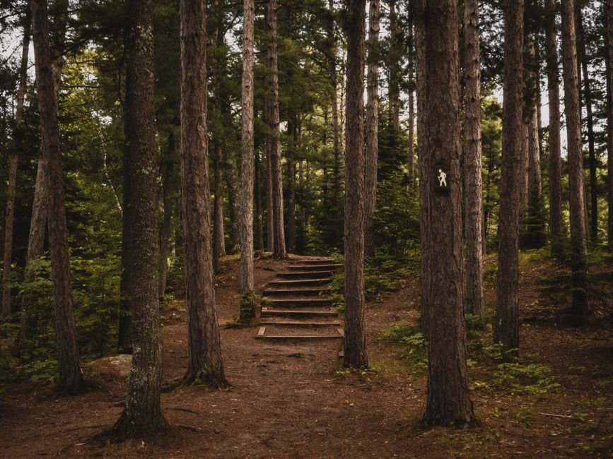 A Balanced Approach To Wellness: A Beginner's Guide