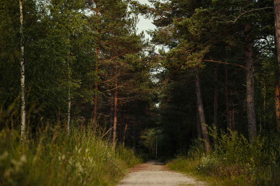 A Balanced Approach To Wellness: Sorting Fact From Fiction