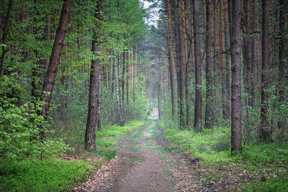A Gentler Way to Approach Starting Over Without Starting From Scratch, Day by Day