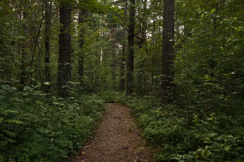 A Slower Approach to Tracking, Measuring And When To Stop, Starting Today