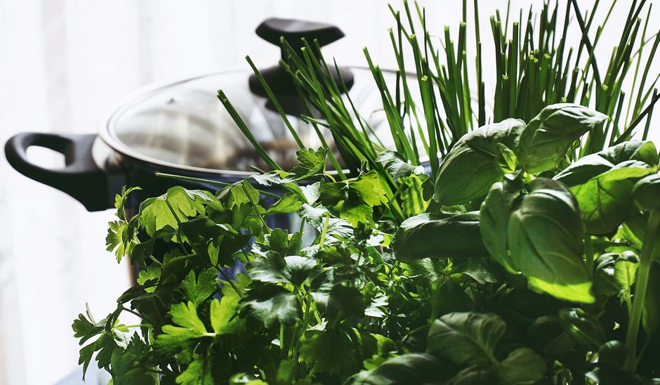 A Step-by-Step Look at Hydration, Breath And The Overlooked Basics
