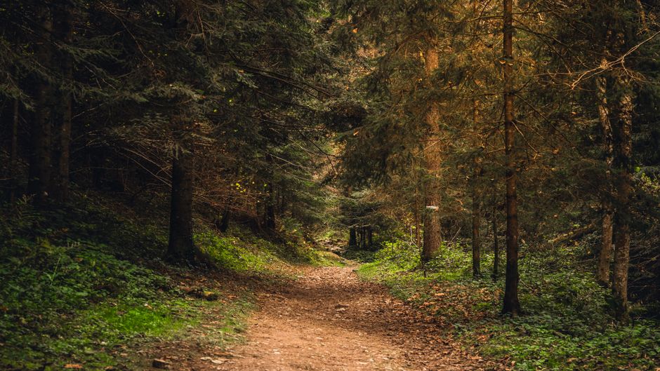 A Step-by-Step Look at Starting Over Without Starting From Scratch, Without Overthinking It