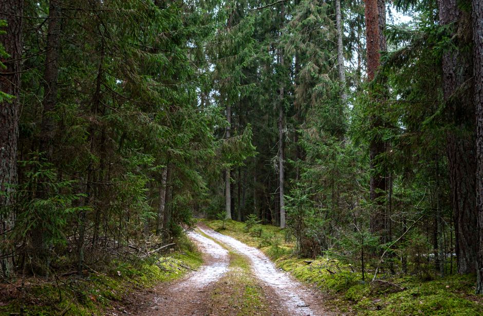 A Step-by-Step Look at The Pleasure Principle In Healthy Living