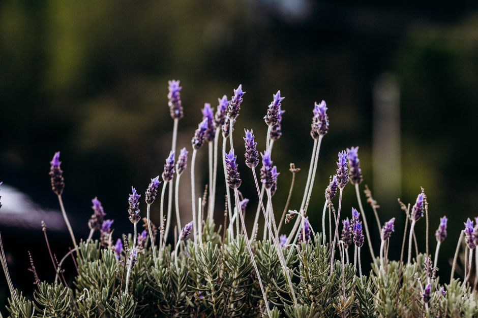 Breathing, Calm And What Is Real: What Changes With Age