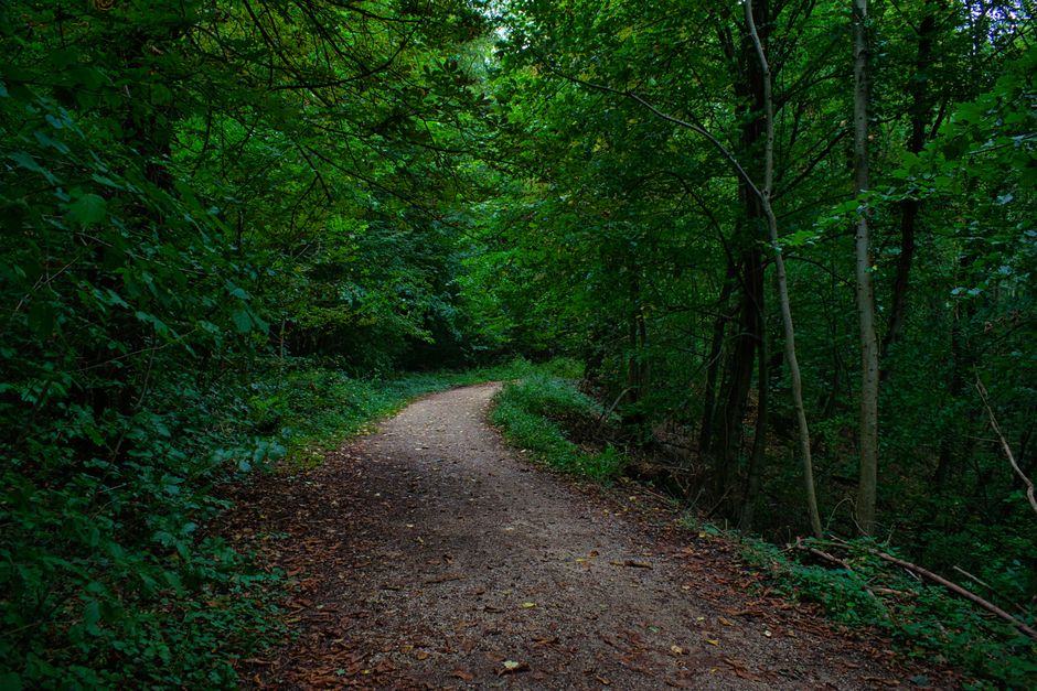 Building a Daily Routine Around Simplicity As A Health Strategy