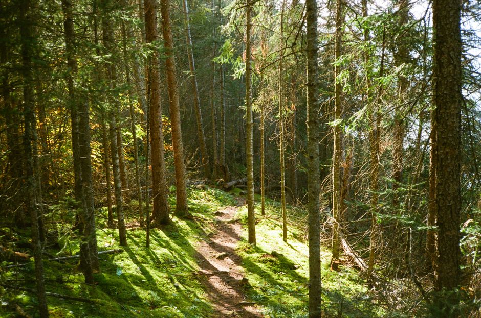 Building a Daily Routine Around Wellness At Different Life Stages