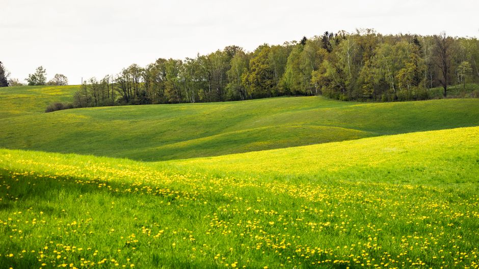 Building a Daily Routine Around Wellness Without Perfectionism