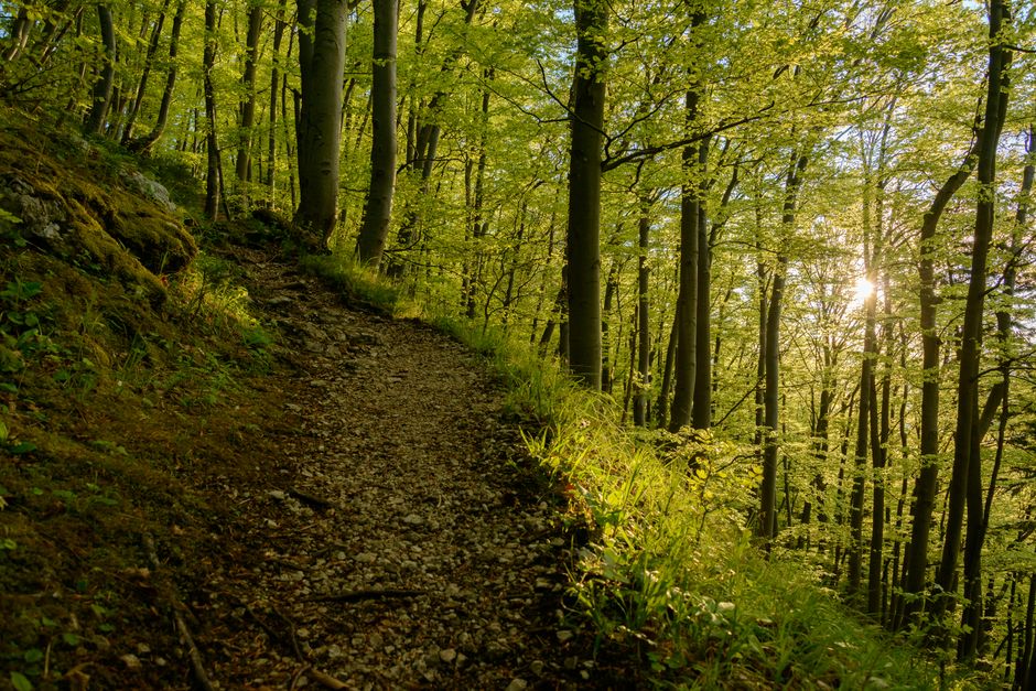 Caring For Your Overall Health as a Daily Habit