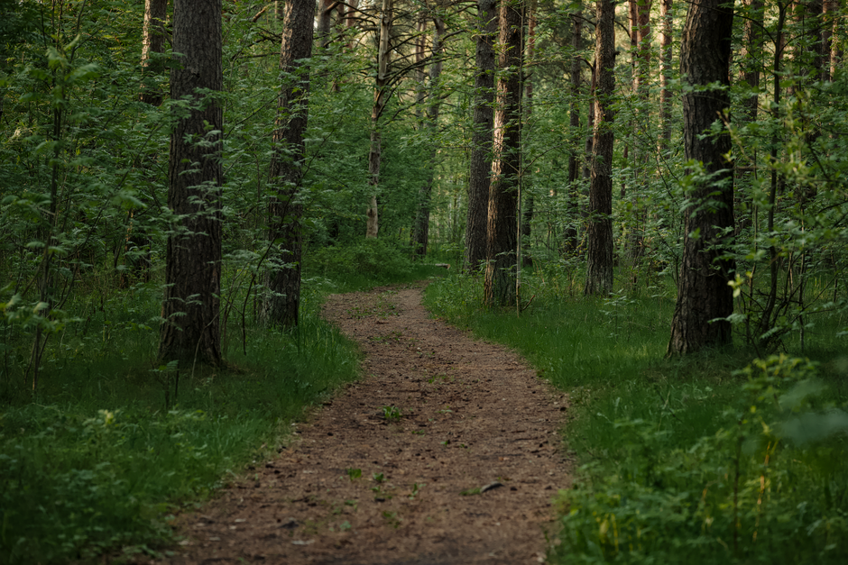 Caring For Your Overall Health: Where to Start