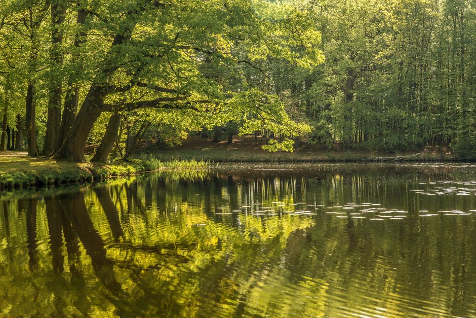 Coming Back to Loneliness As A Health Factor