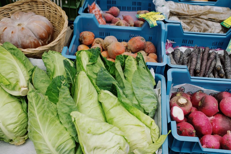 Getting Started With Health As Something To Be Used