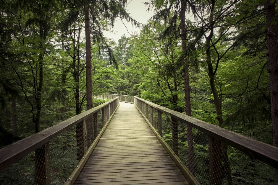 Getting Started With Wellness At Different Life Stages