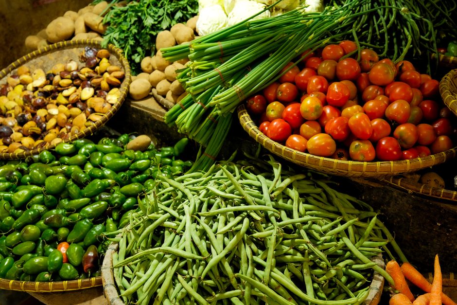 Getting Started With Wellness For Everyday Life