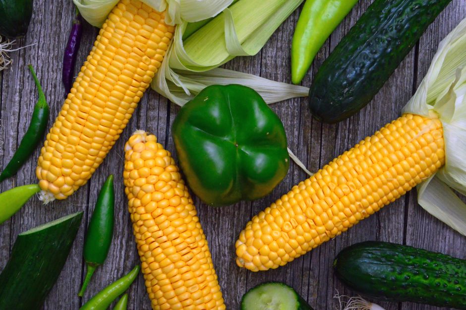 Health As Something To Be Used: Myths and Facts