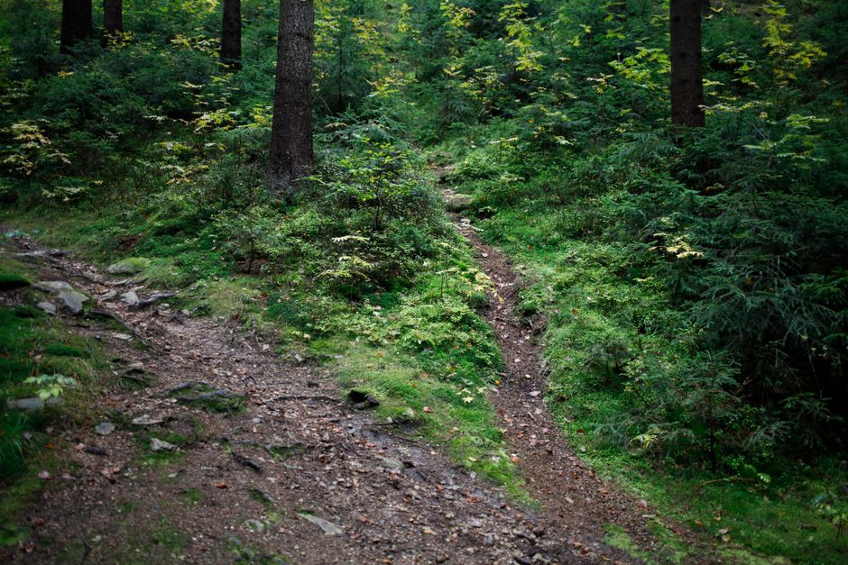 How to Stay Consistent With Health Over A Lifetime, Not A Season, Without Overthinking It