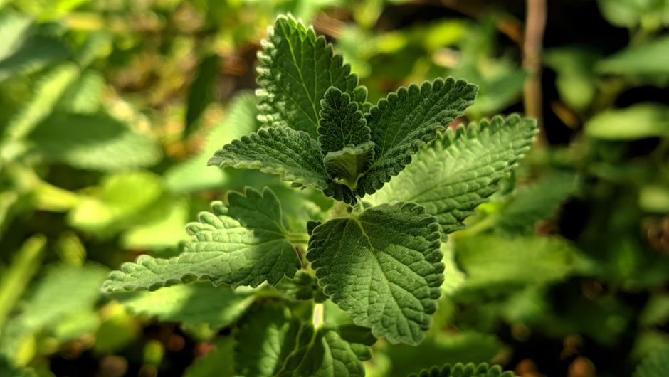 Hydration, Breath And The Overlooked Basics: What Actually Works