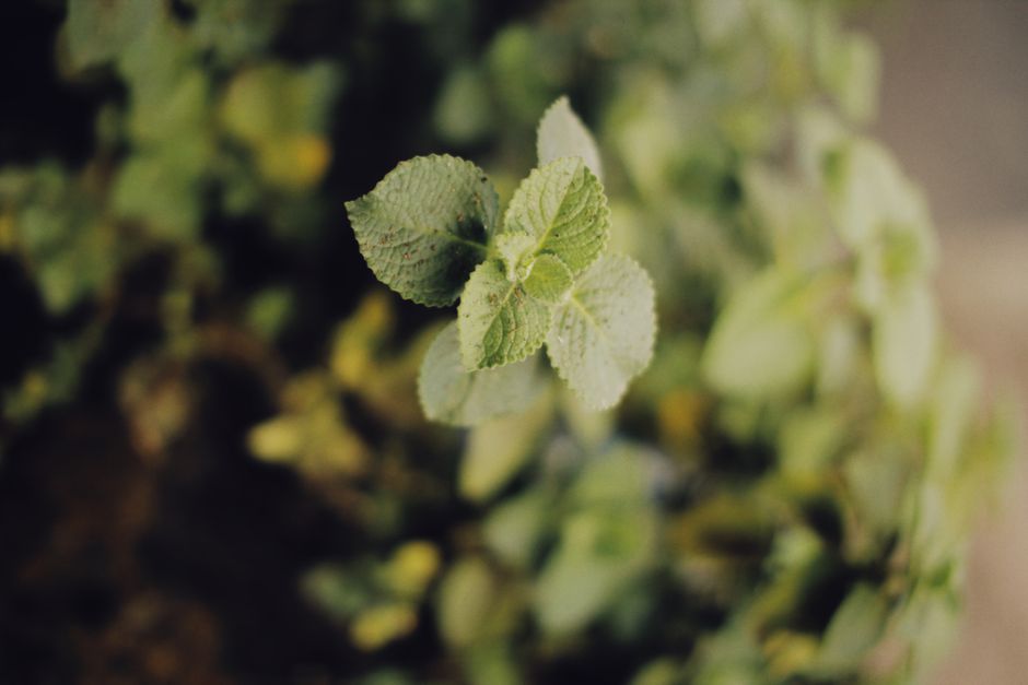 Hydration Without The Myths Without the Guesswork, Step by Step