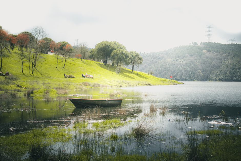 Motivation, Discipline And Self-Compassion as a Daily Habit