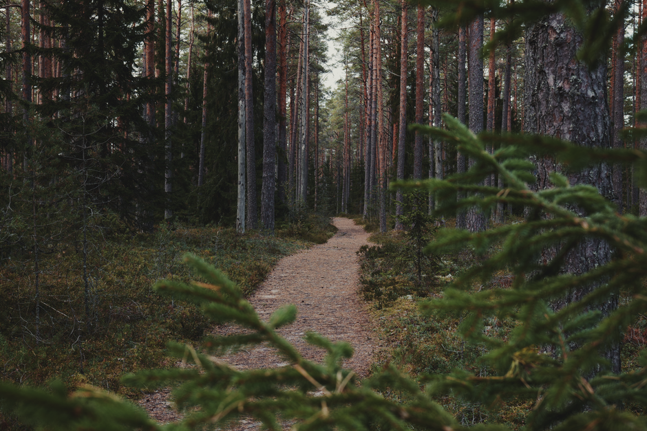 Simplicity As A Health Strategy: What Changes With Age