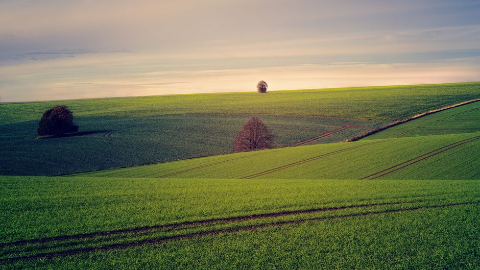Stress: Signal, Response And Recovery: Practical Steps You Can Use