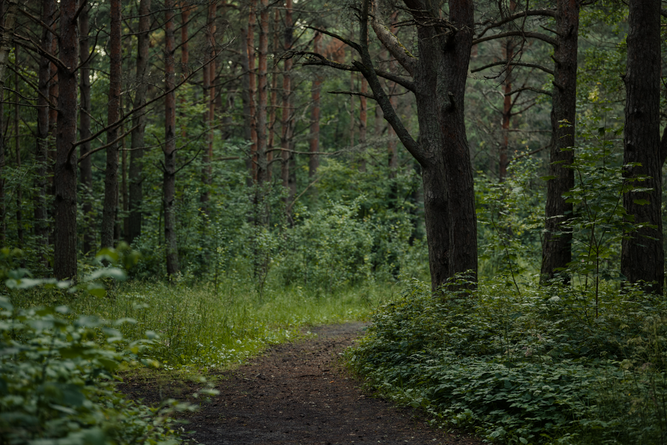The Habit Of Moving Through The Day: Sorting Fact From Fiction