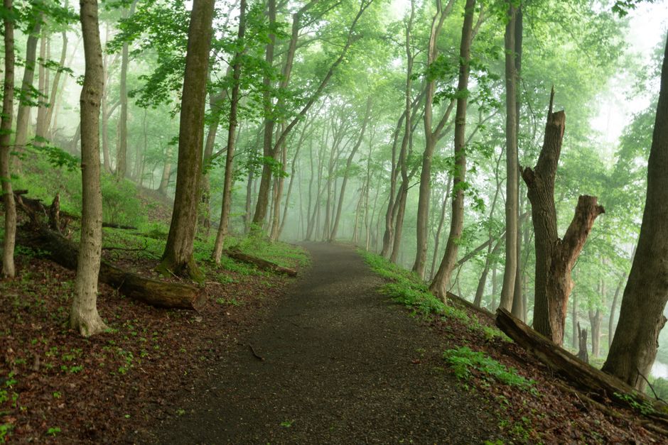 The Truth About Starting Over Without Starting From Scratch, Step by Step