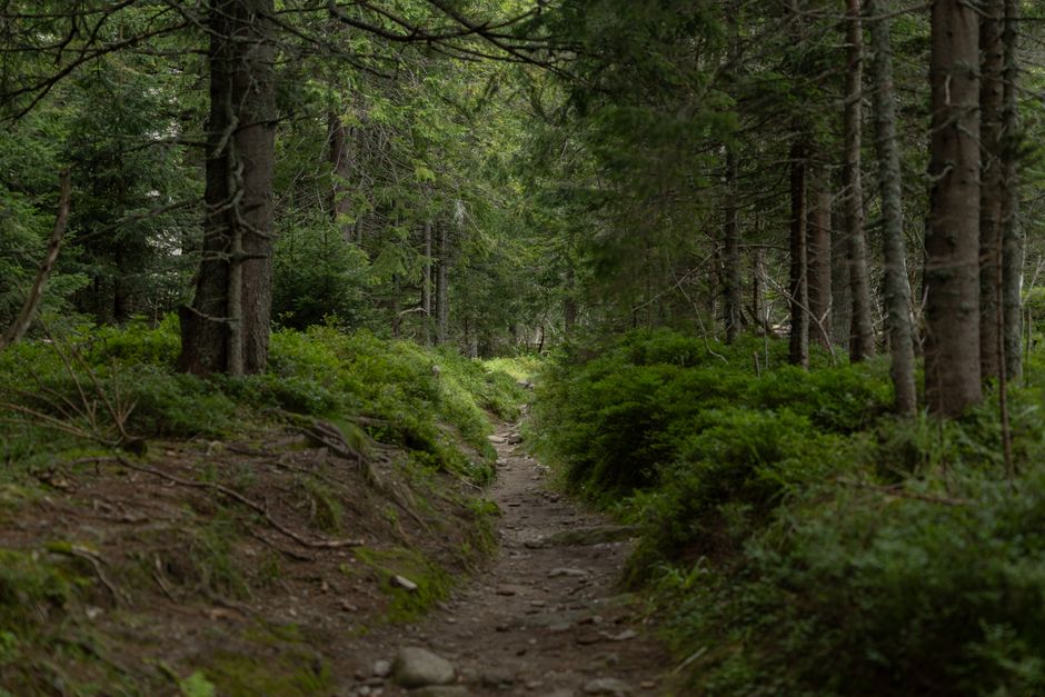 Tracking, Measuring And When To Stop: One Habit at a Time