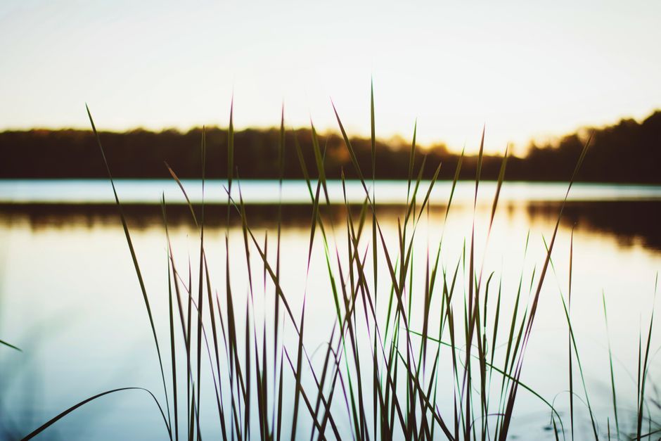 Understanding Energy And Fatigue for Busy People