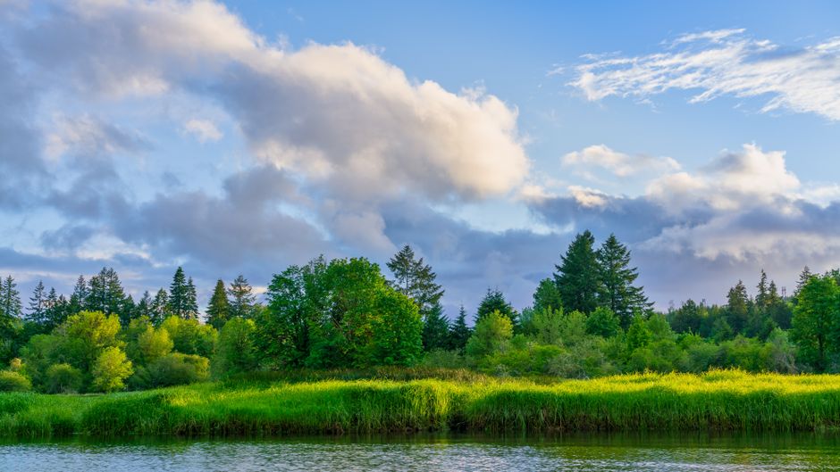 Wellness Without Perfectionism When You're Short on Time