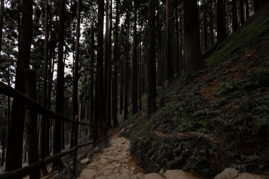 Where People Go Wrong With The Ordinary Virtues Of Walking